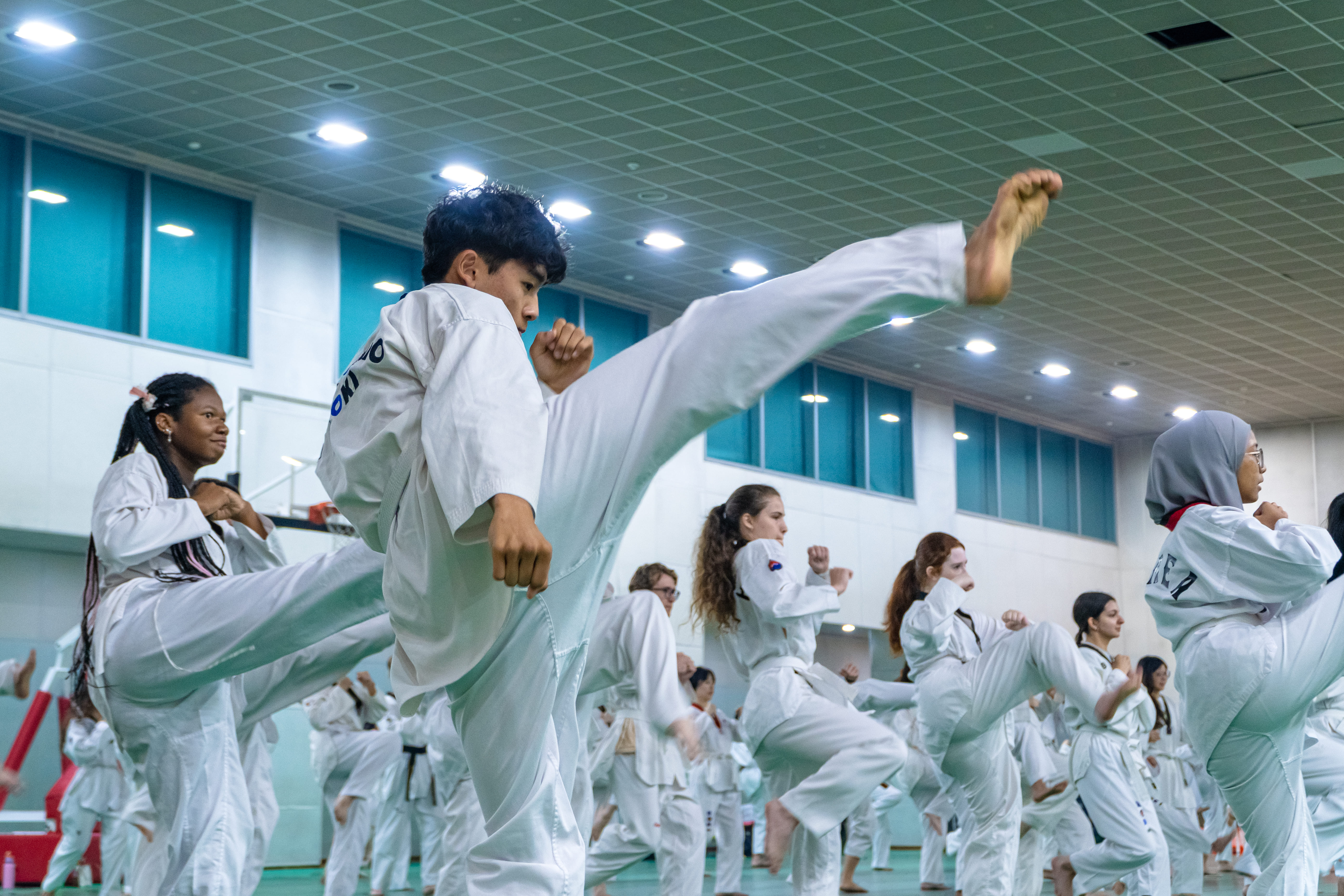Taekwondo demonstration and practice